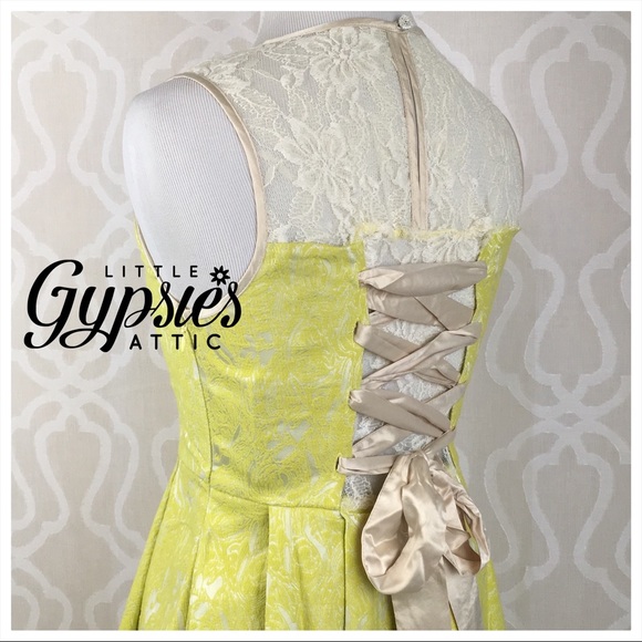 Meet your Posher, Gypsie - Picture 6 of 16